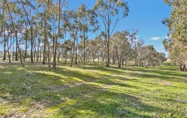 108 Belvoir Park Road, Ravenswood