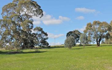 108 Belvoir Park Road, Ravenswood