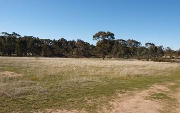 397 Stuart Mill Road, Dunolly