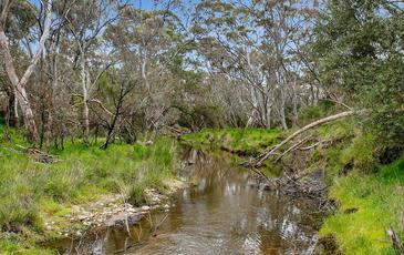 81 Forest Drive, Heathcote