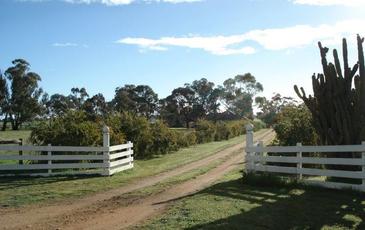 2972 Charlton - St Arnaud Road, St Arnaud