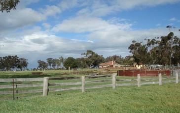 2972 Charlton - St Arnaud Road, St Arnaud