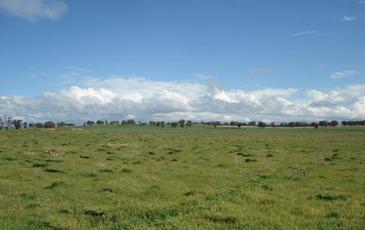 2972 Charlton - St Arnaud Road, St Arnaud