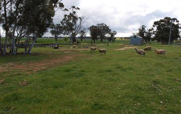2972 Charlton - St Arnaud Road, St Arnaud