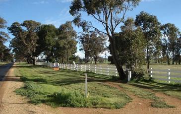 2972 Charlton - St Arnaud Road, St Arnaud