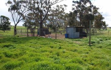 2972 Charlton - St Arnaud Road, St Arnaud