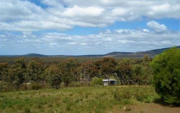 999 Burkes Flat - McIntyre Road, Mcintyre