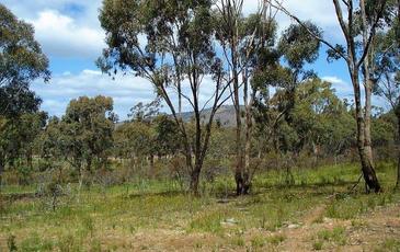 999 Burkes Flat - McIntyre Road, Mcintyre