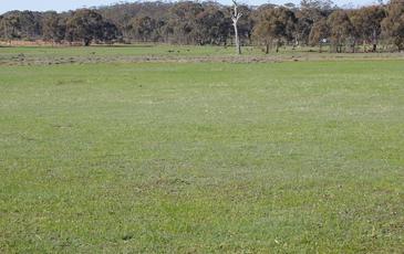 39D Scotts Lane, Wedderburn