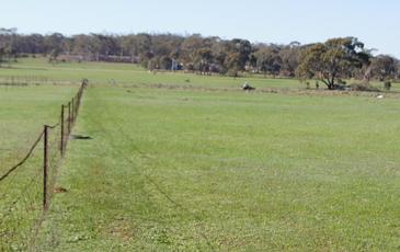 39D Scotts Lane, Wedderburn
