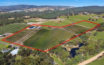 57 Peelers Road, Harcourt