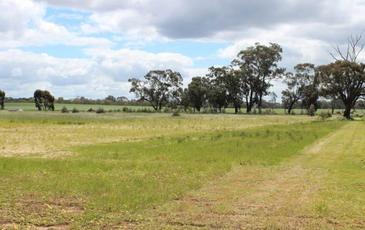 Lot 5, 103 Railway Place North, Goornong