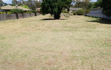 73 Wilson Street, Wedderburn