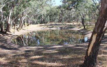 Lot 8 & 9 Boswell Road, Lockwood