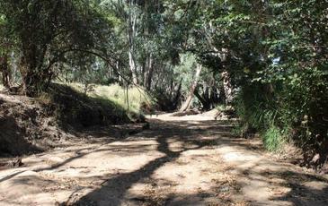 Lot 8 & 9 Boswell Road, Lockwood