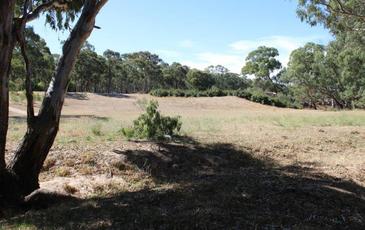Lot 8 & 9 Boswell Road, Lockwood