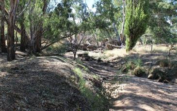 Lot 8 & 9 Boswell Road, Lockwood
