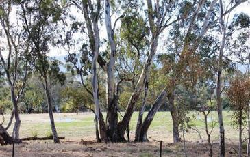 Lot 3, 52 Barker Street, Harcourt