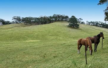 191 Specimen Gully Road, Barkers Creek