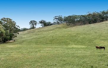 191 Specimen Gully Road, Barkers Creek