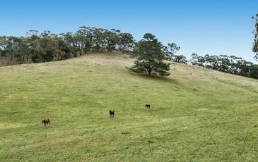 191 Specimen Gully Road, Barkers Creek