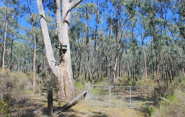 Lot 1, Curtis Road, Axe Creek