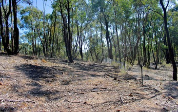 Lot 1, Curtis Road, Axe Creek