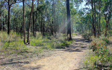 Lot 1, Curtis Road, Axe Creek