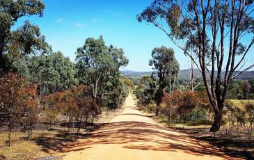 Lot 1, Curtis Road, Axe Creek