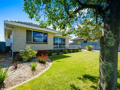 101 PHILLIPS, Wodonga