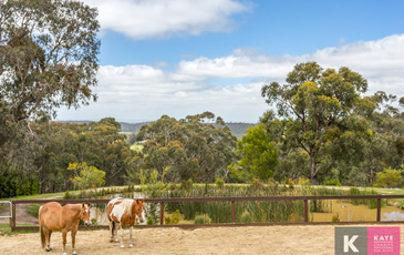 44 Leadbetter Road, Beaconsfield Upper