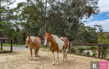 44 Leadbetter Road, Beaconsfield Upper