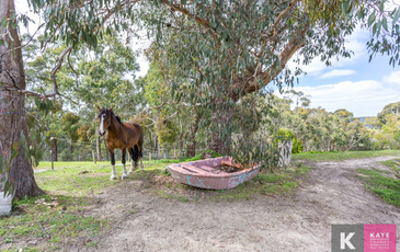 44 Leadbetter Road, Beaconsfield Upper