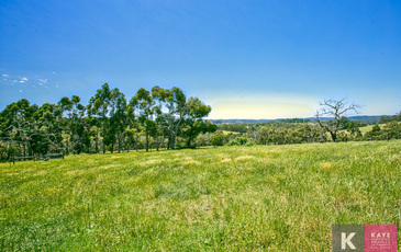 176 Belgrave-Hallam Road, Belgrave South