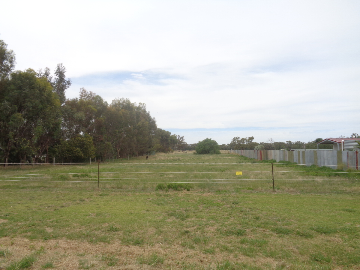 85 Cohen Street, Rochester