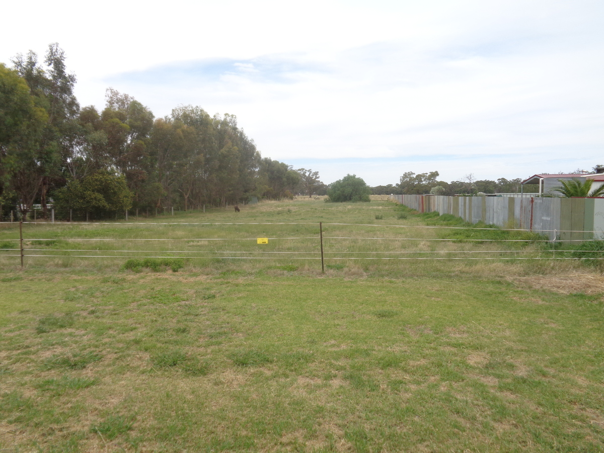 85 Cohen Street, Rochester