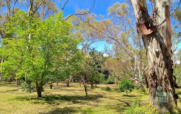 81 Forest Drive, Heathcote
