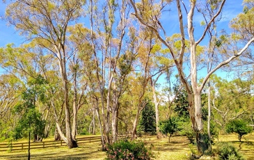 81 Forest Drive, Heathcote