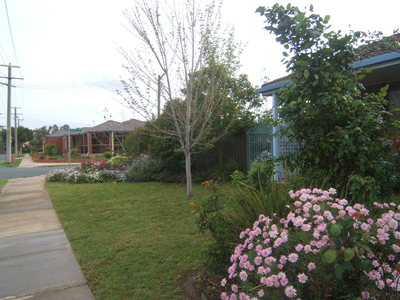 21 Delatite Avenue, Shepparton